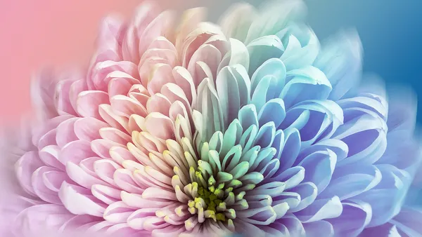 Blumen