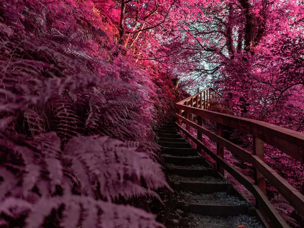 Treppen
