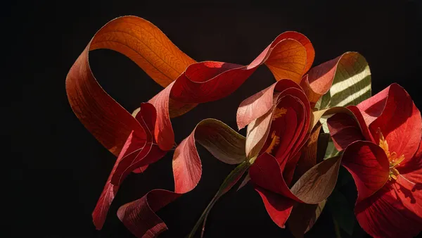 Papier