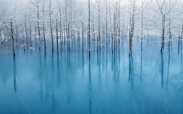 Winter