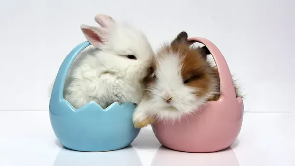 Flauschig