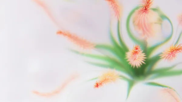 Abstrakte Blumen