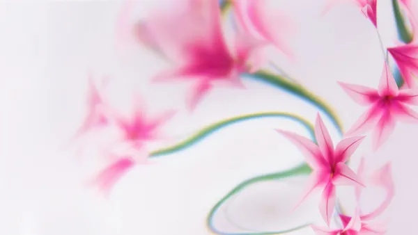 Florale Designs