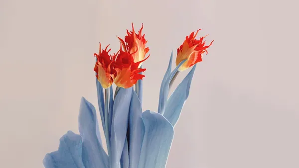 Rote Blume
