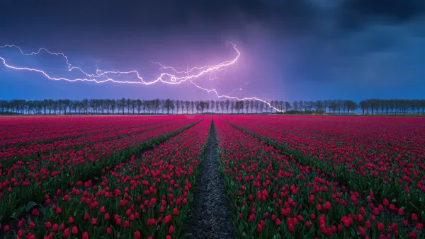 Sturm