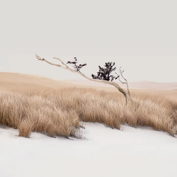 Landschaften