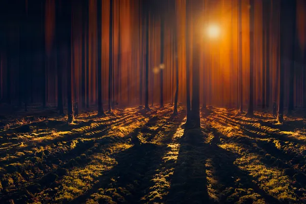 Dunkler Wald