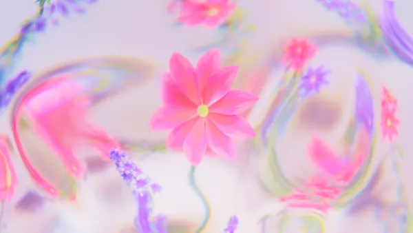 Rosa Blume