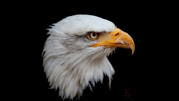 Adler