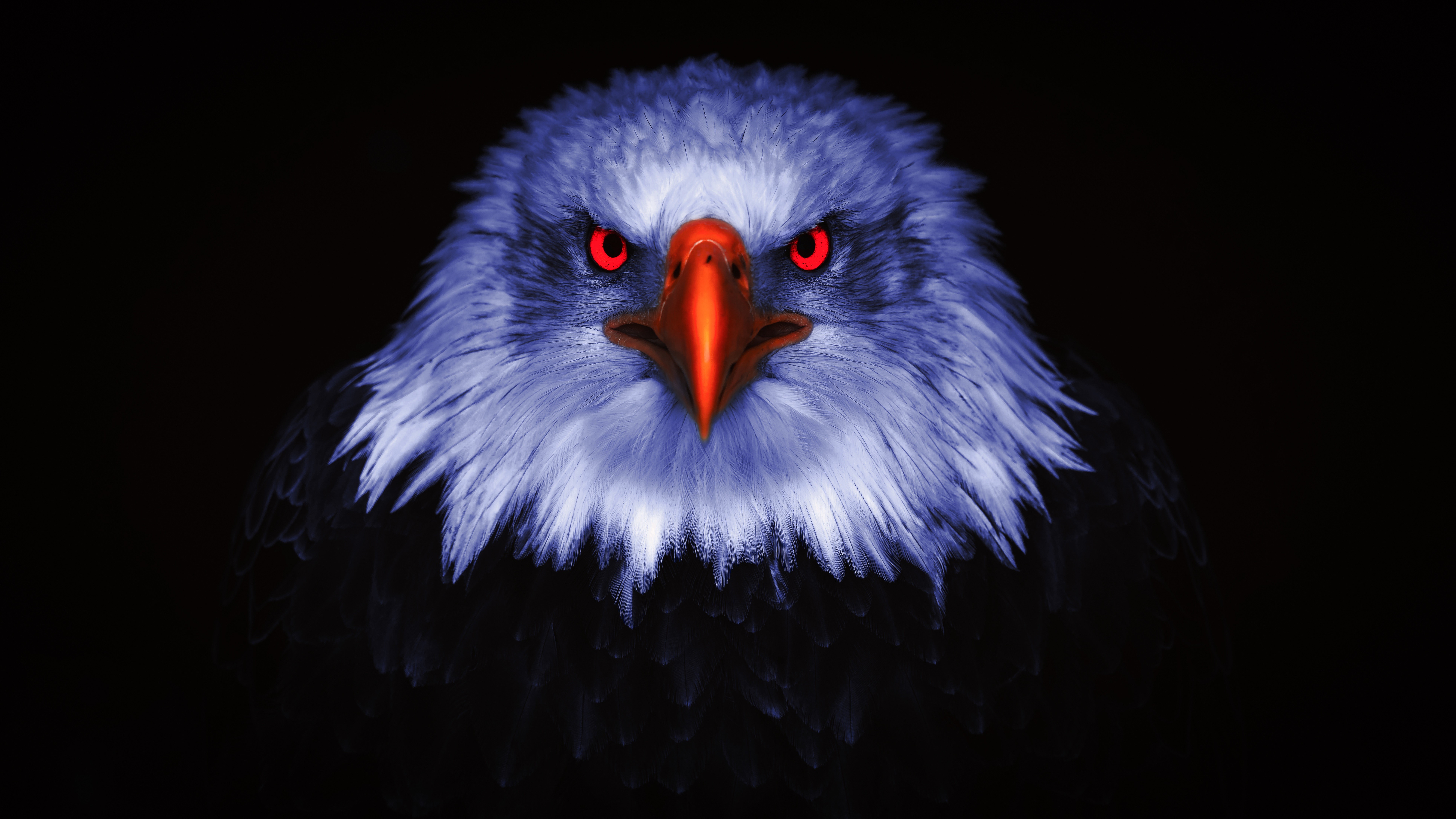 Adler, Greifvogel, Raubvögel, Rote Augen, Schwarzer Hintergrund, 5K, 8K