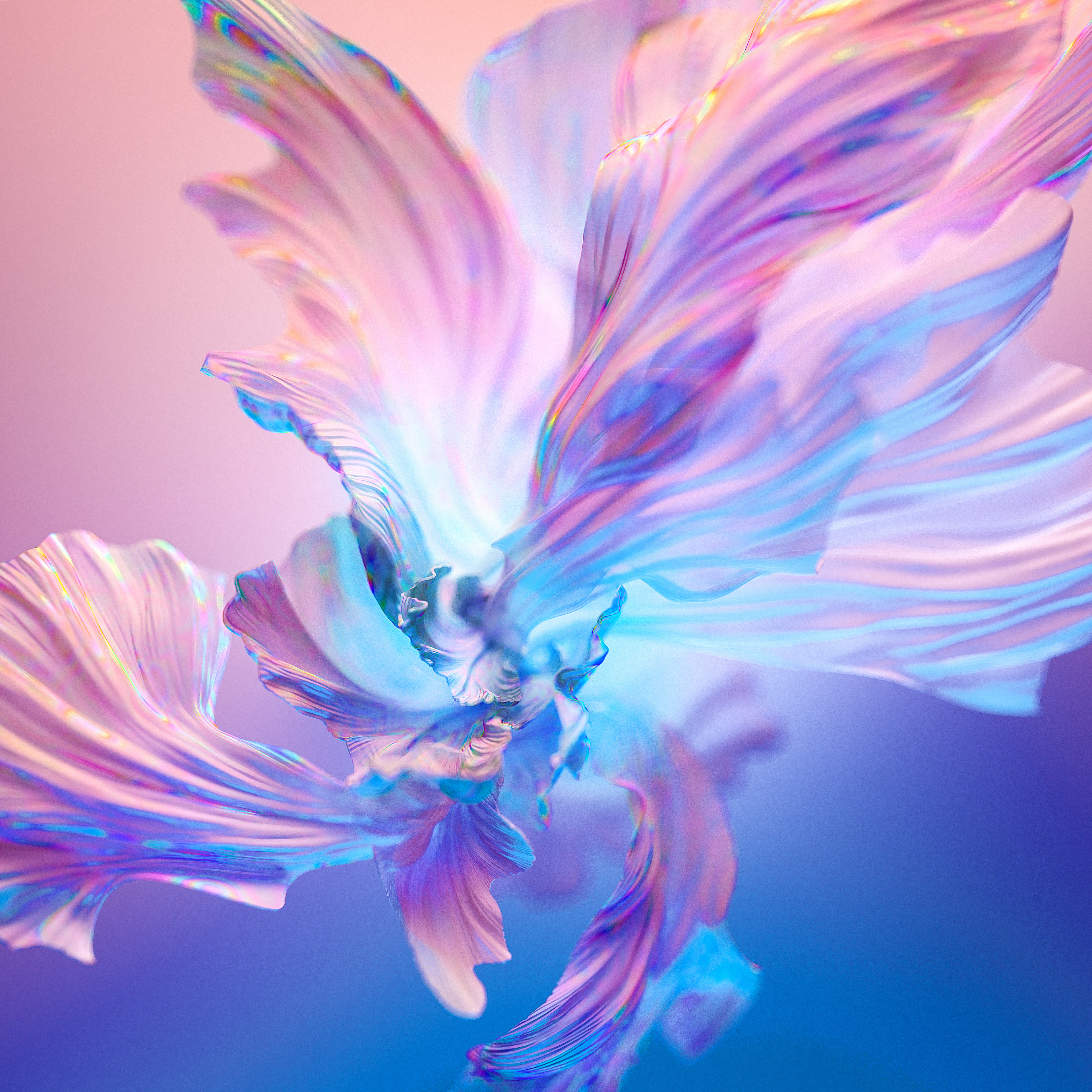 Blumenhintergrund, Digitale Kunst, Bunt, Verlaufshintergrund
