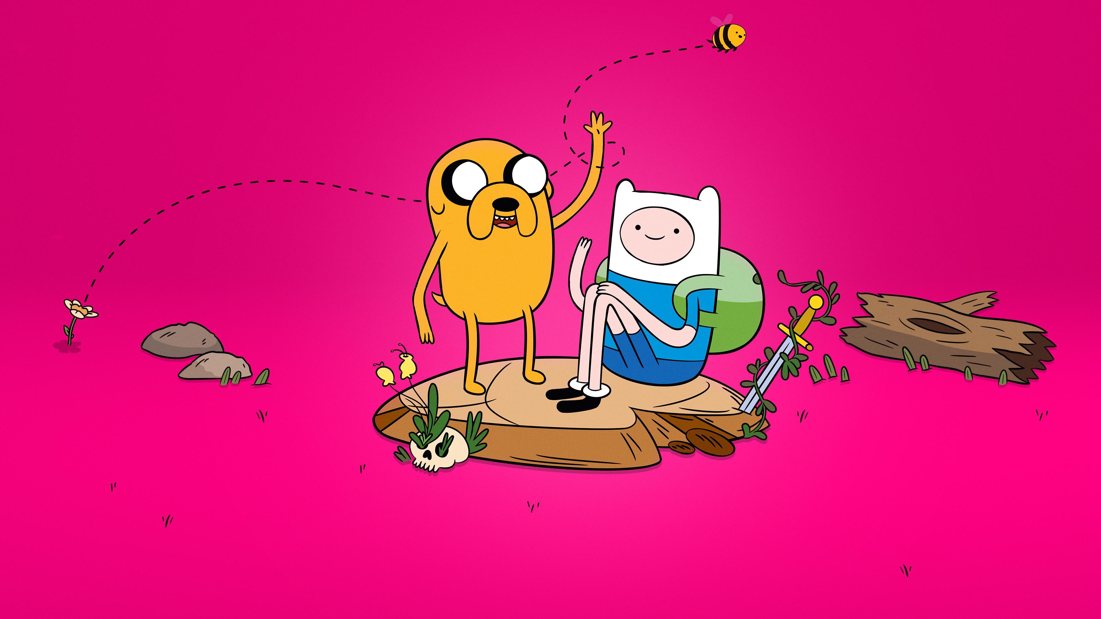 Cartoon Network, Adventure Time, Jake, Finn, Rosa Hintergrund