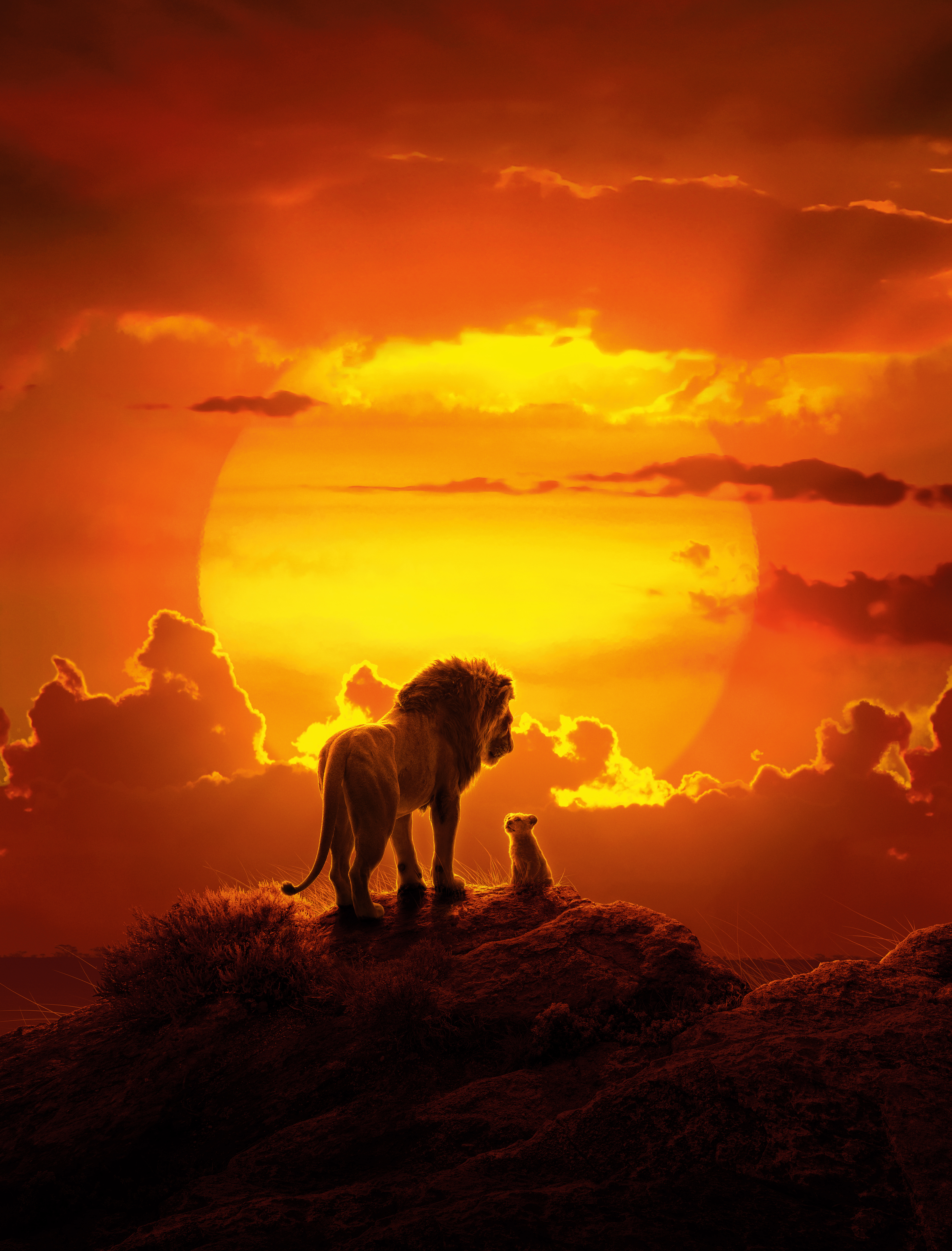Der König der Löwen, Simba, Mufasa, Löwenjunges, Animation