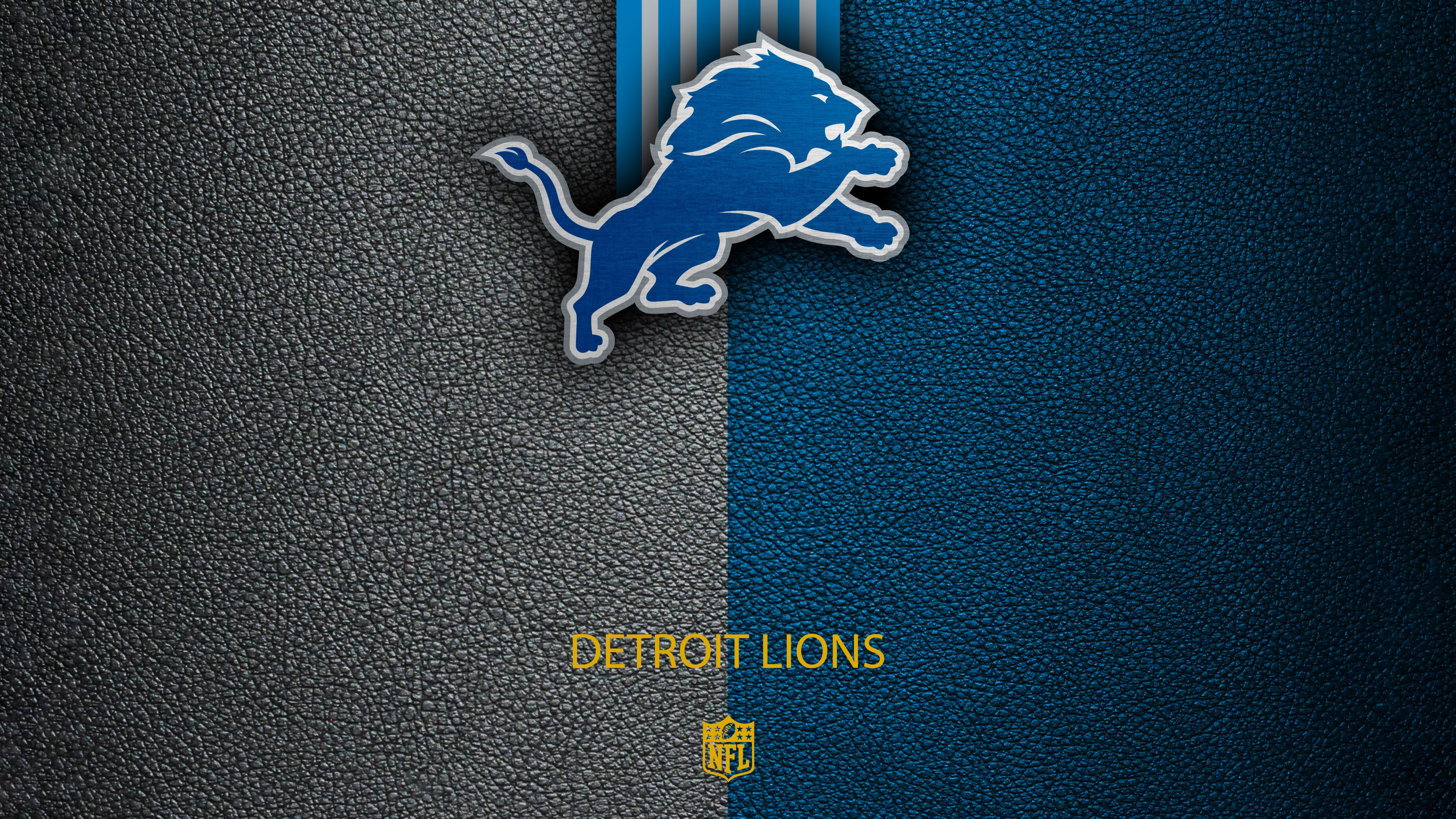 Detroit Lions, 5K, NFL-Team, American-Football-Team
