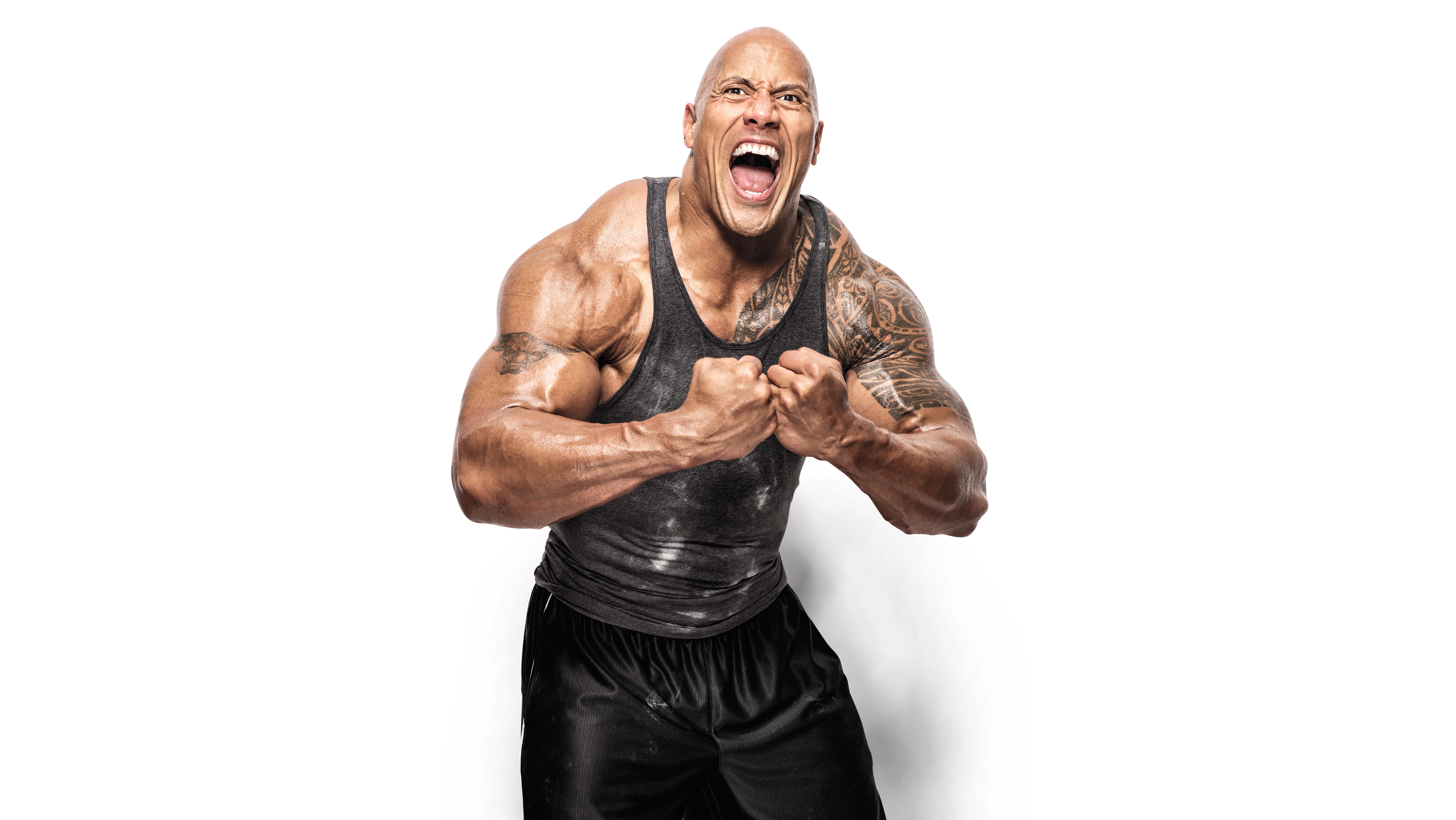 Dwayne Johnson, WWE Superstars, WWE-Wrestler, 5K, 8K, Weißer Hintergrund