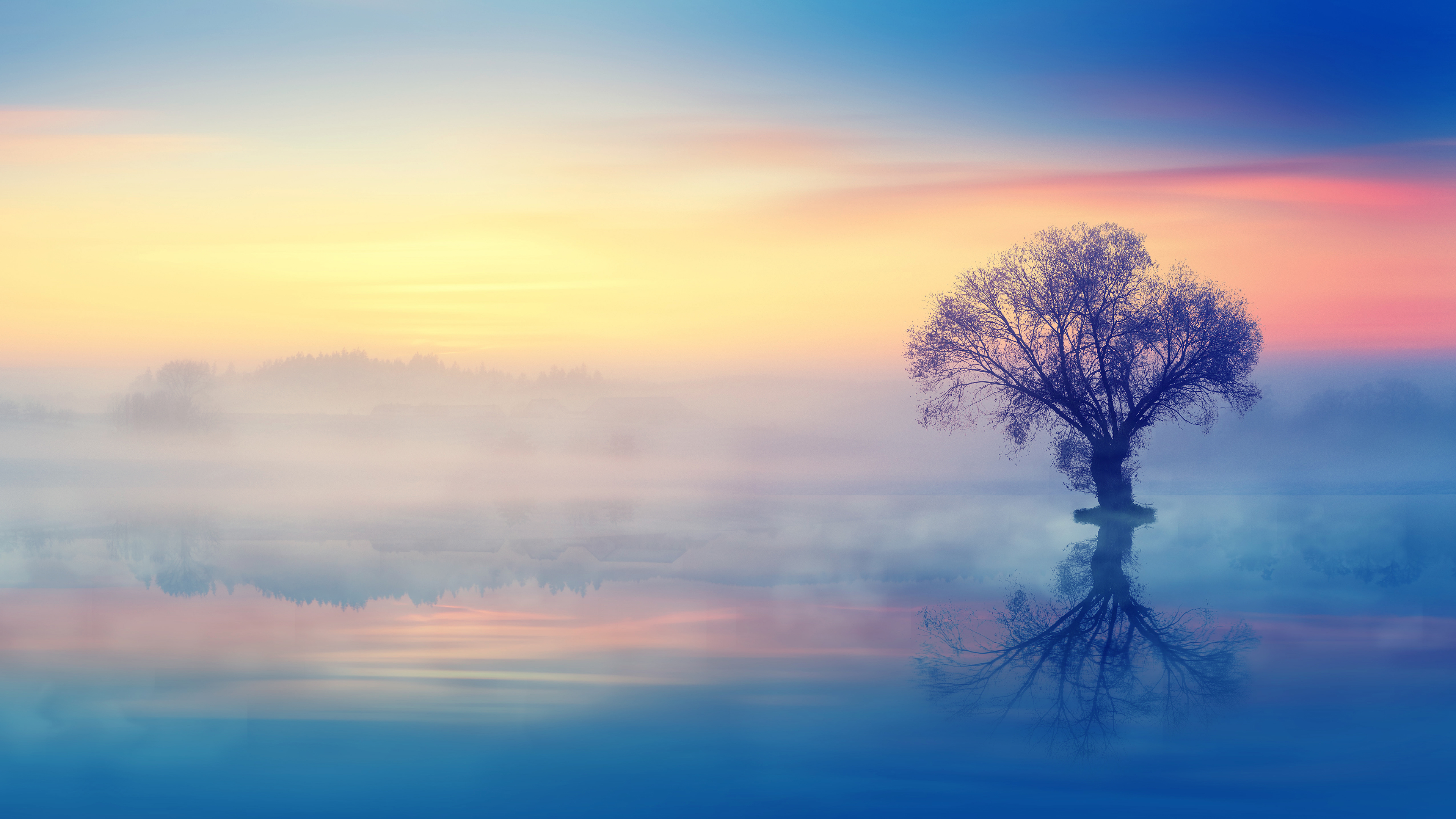 Einsamer Baum, Kulisse, Sonnenuntergang, Spiegelung, Nebel, Dämmerung, Ästhetisch