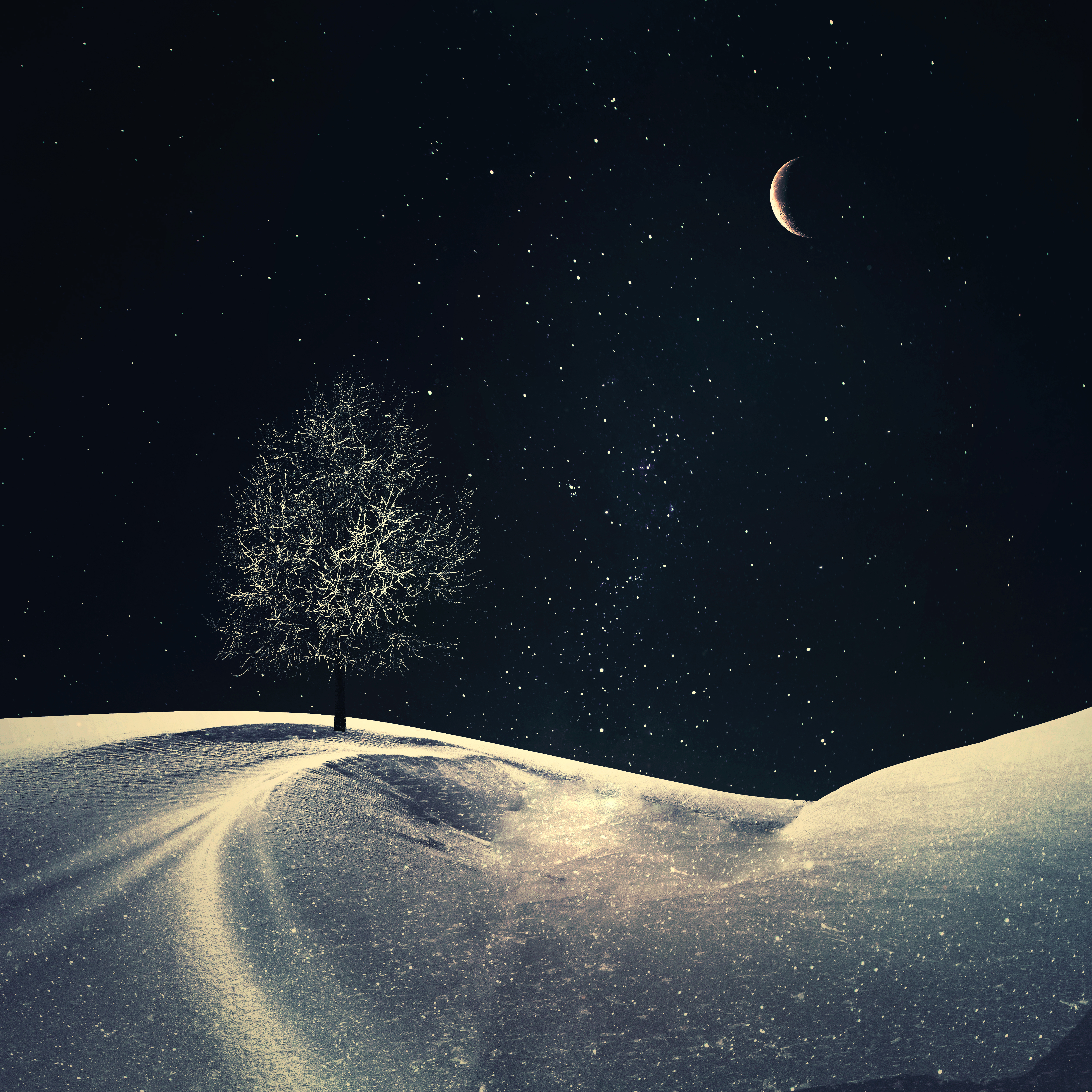 Einsamer Baum, Sichelmond, Nacht, Sternenhimmel, Nachthimmel, Winter, Kalt, Surreal, 5K
