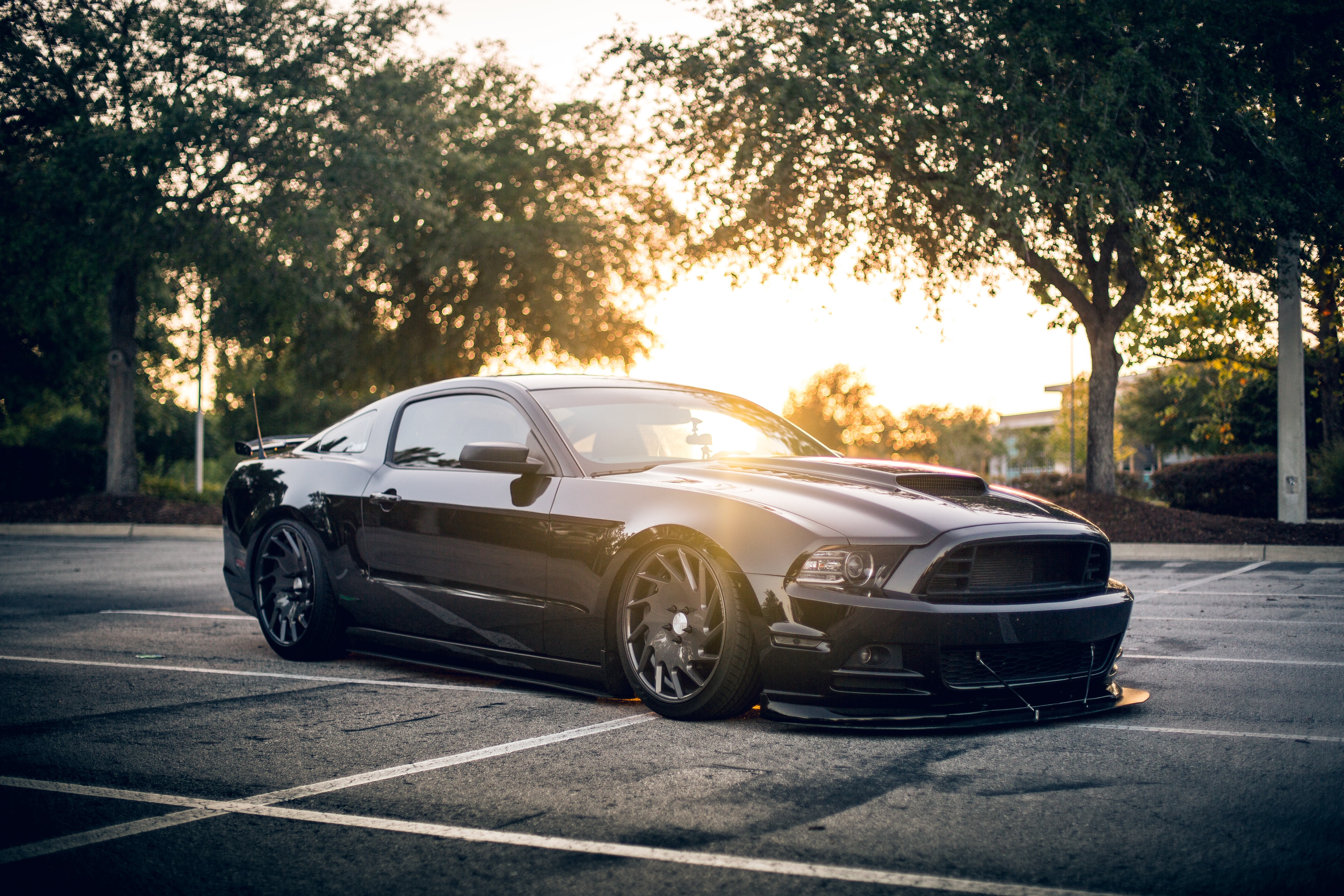 Ford Mustang GT, schwarze Autos, Sportwagen, Automobil, Limousine, Sonnenlicht, 5K