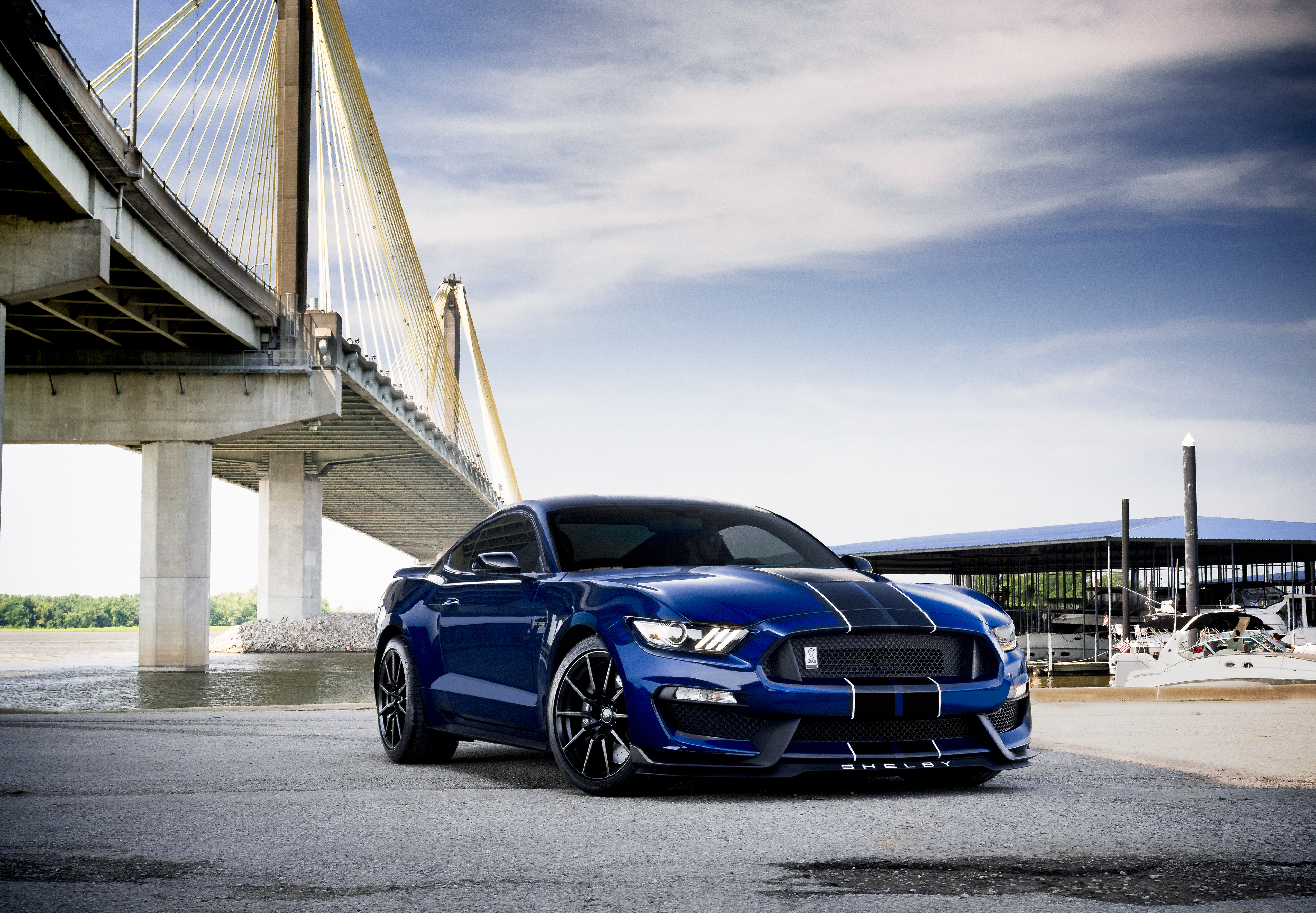 Ford Mustang Shelby GT350, 5K, Muscle Cars