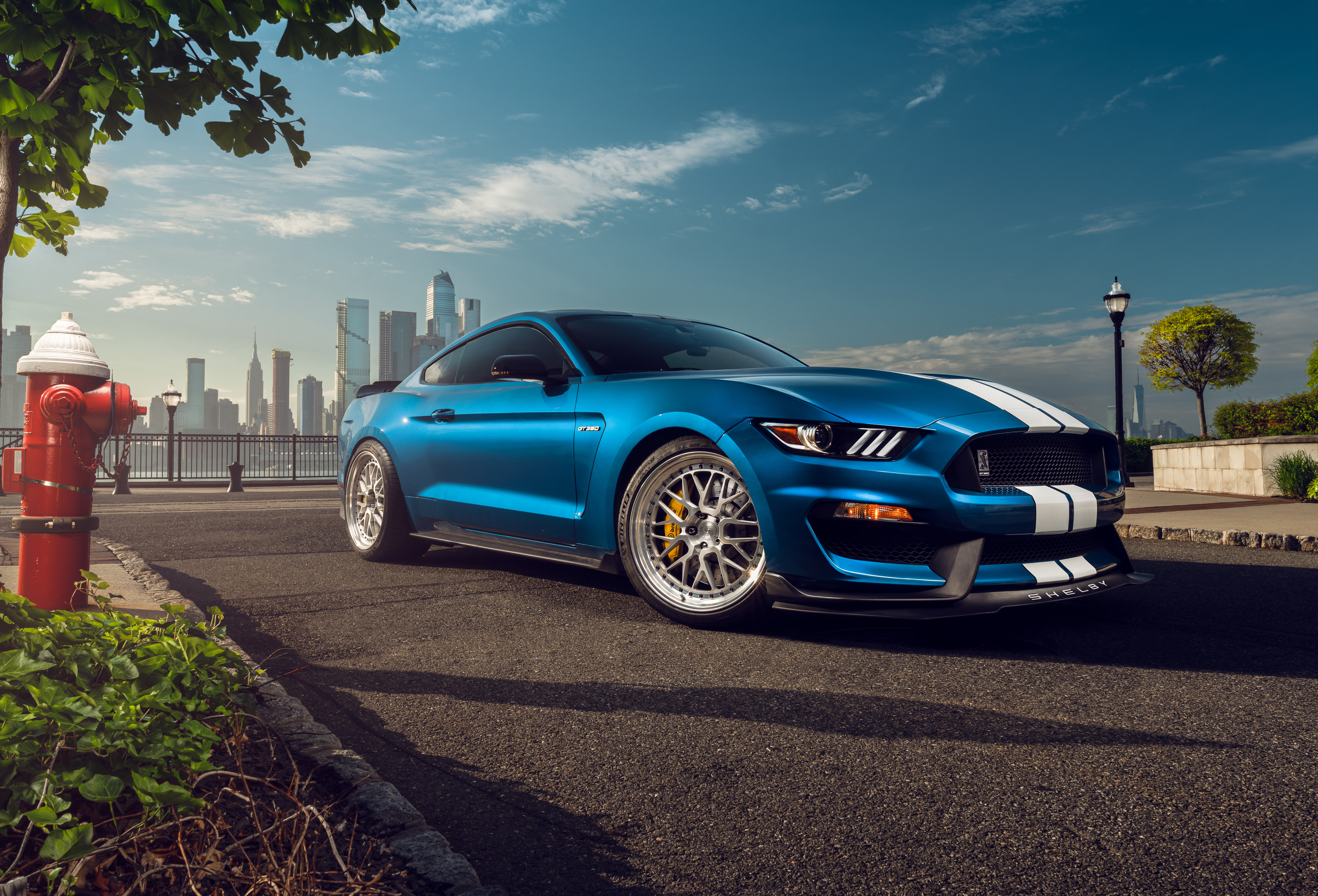 Ford Mustang Shelby GT350, 8K, Muscle-Sportwagen, 5K