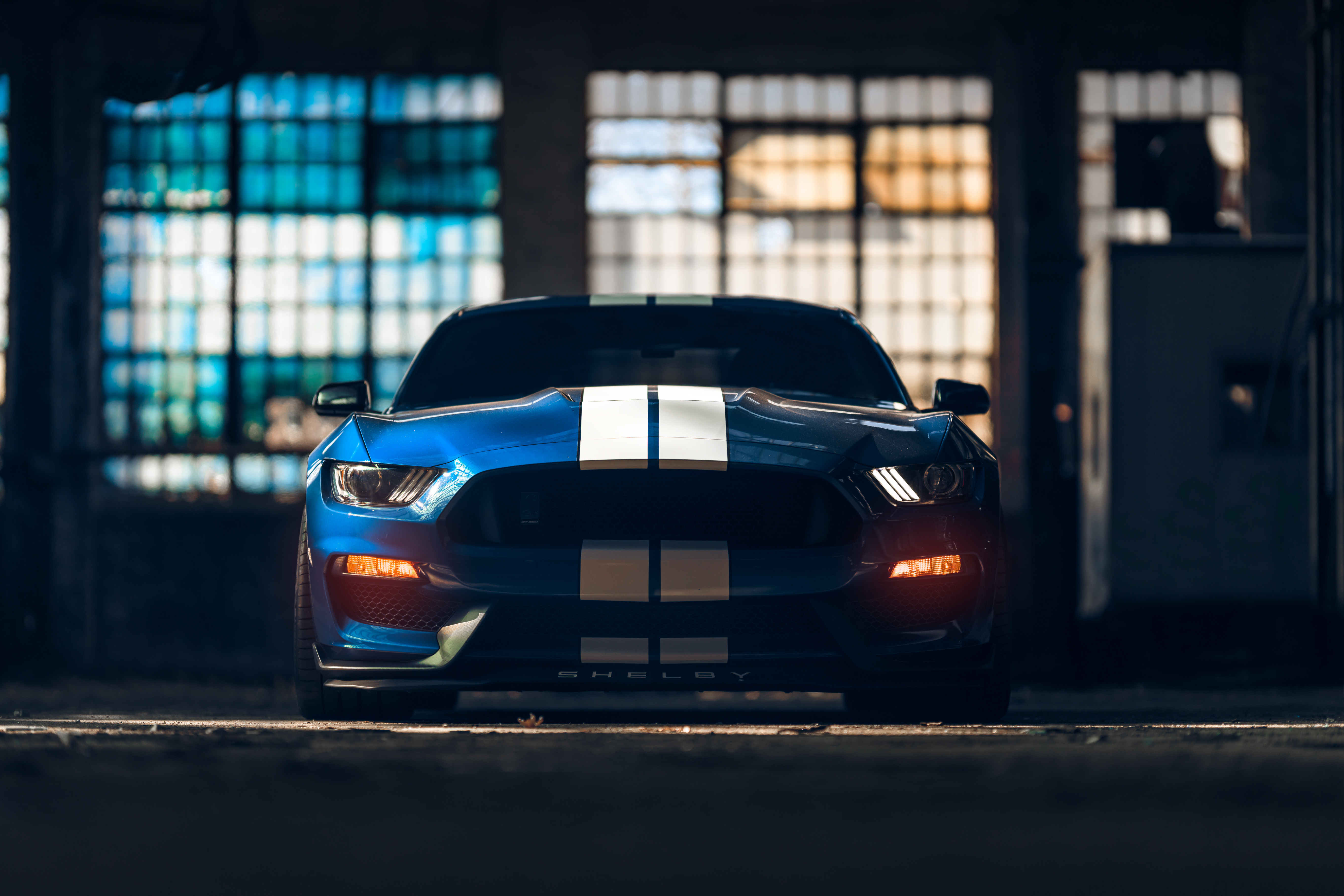 Ford Mustang Shelby GT350, Amerikanischer Muscle-Car, Muscle-Sportwagen, 5K