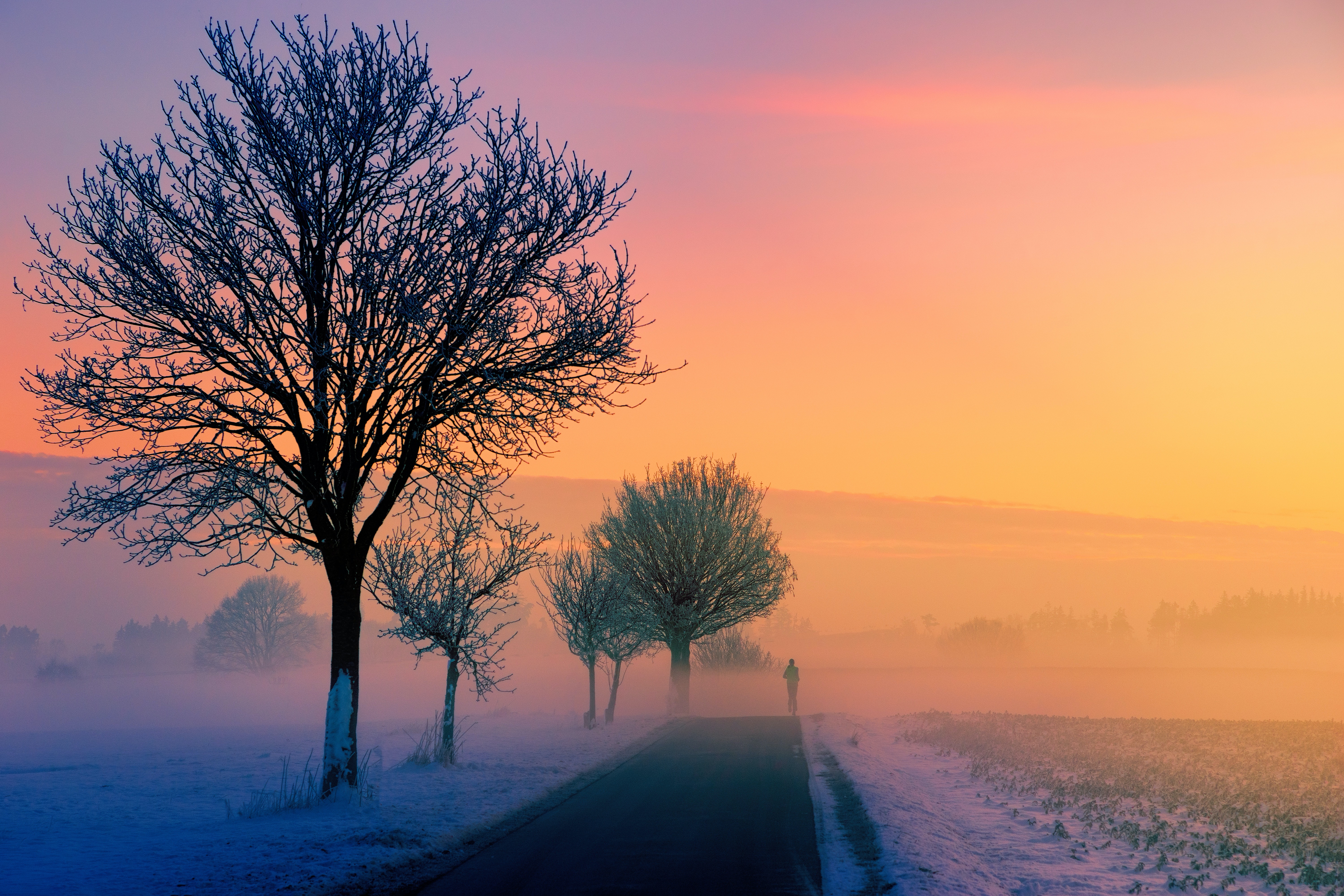 Goldene Stunde, Neblig, Sonnenaufgang, Morgen, Winter, Straße, 5K