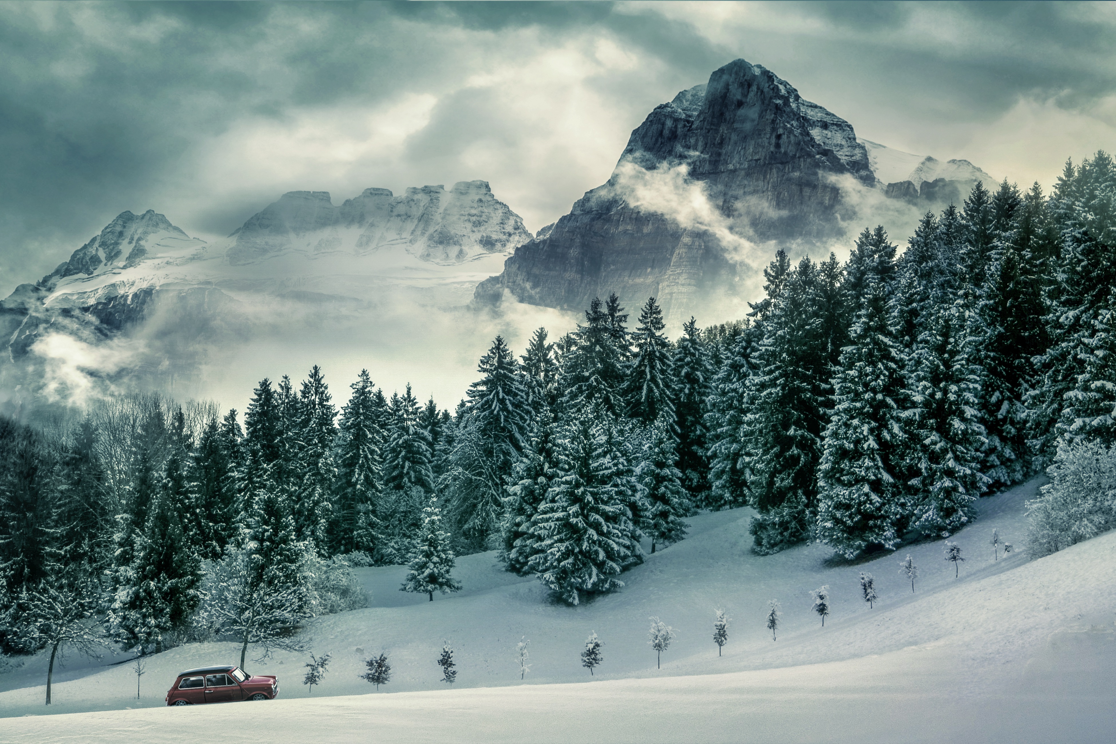 Kiefern, Winter, Wald, Berge, Gipfel