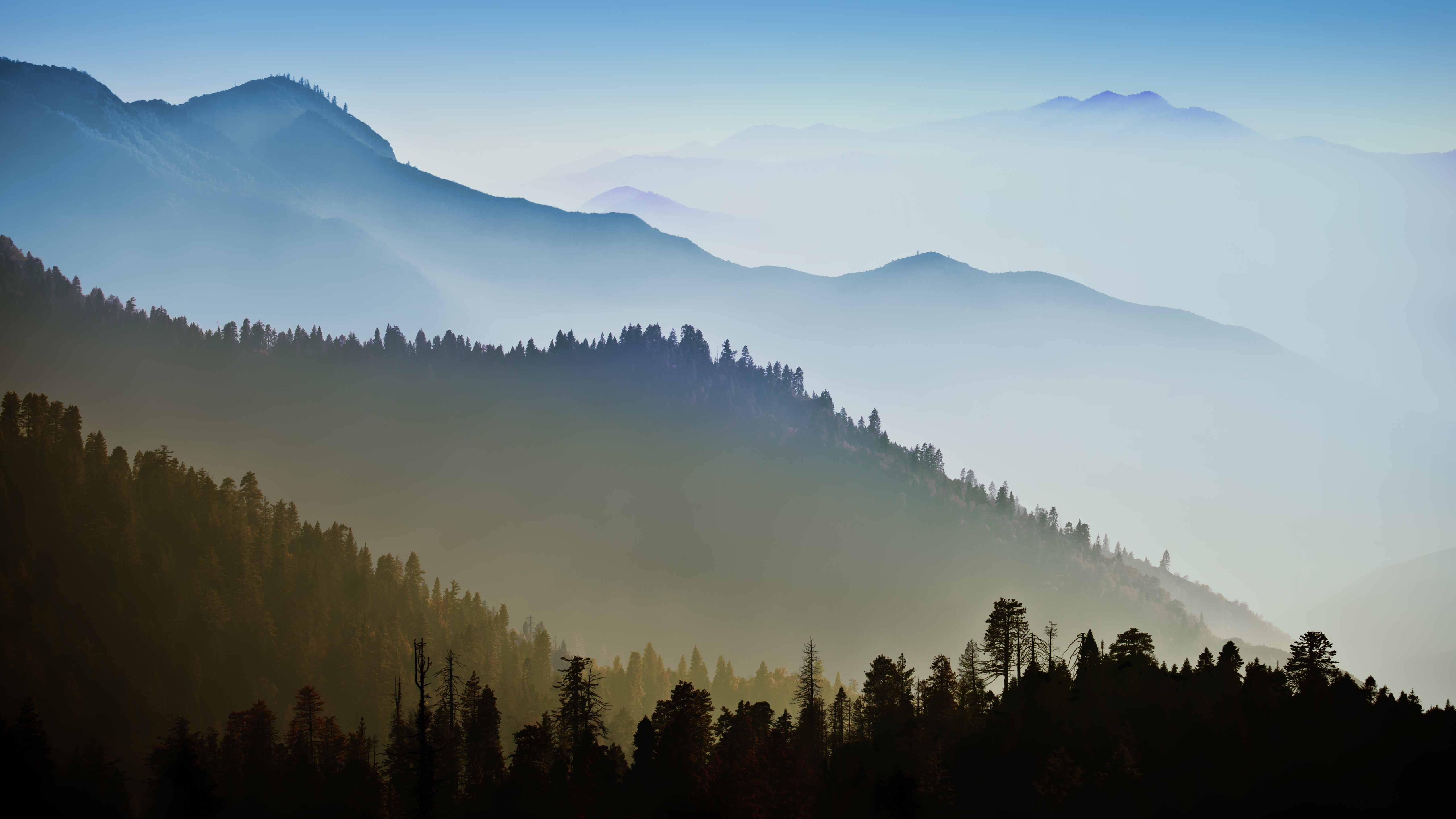 Mac OS X, Berge, Wald, Hügel, Neblig, Morgen, Stock, 5K, OS X Mavericks