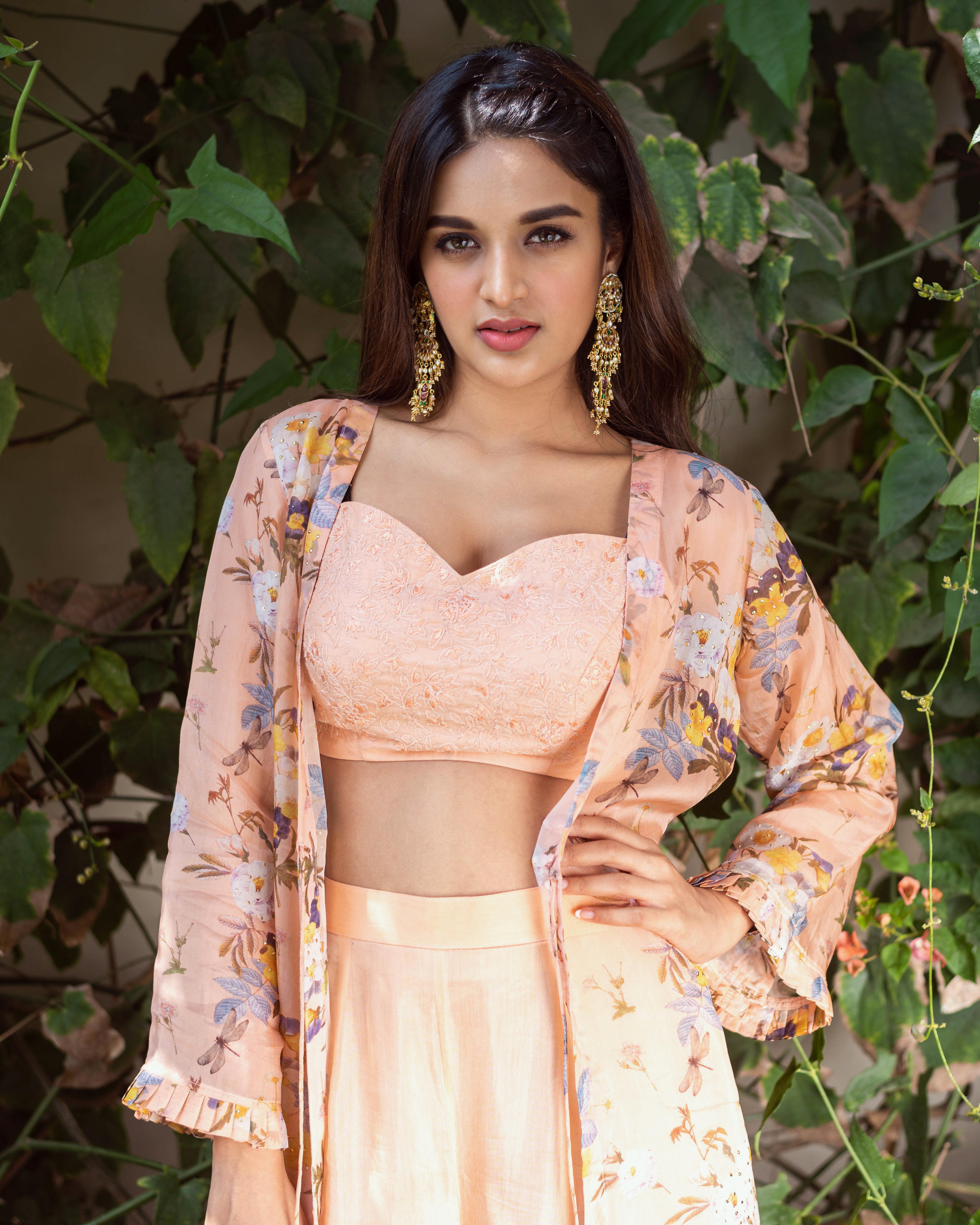 Nidhhi Agerwal, Indische Schauspielerin, Telugu-Schauspielerin