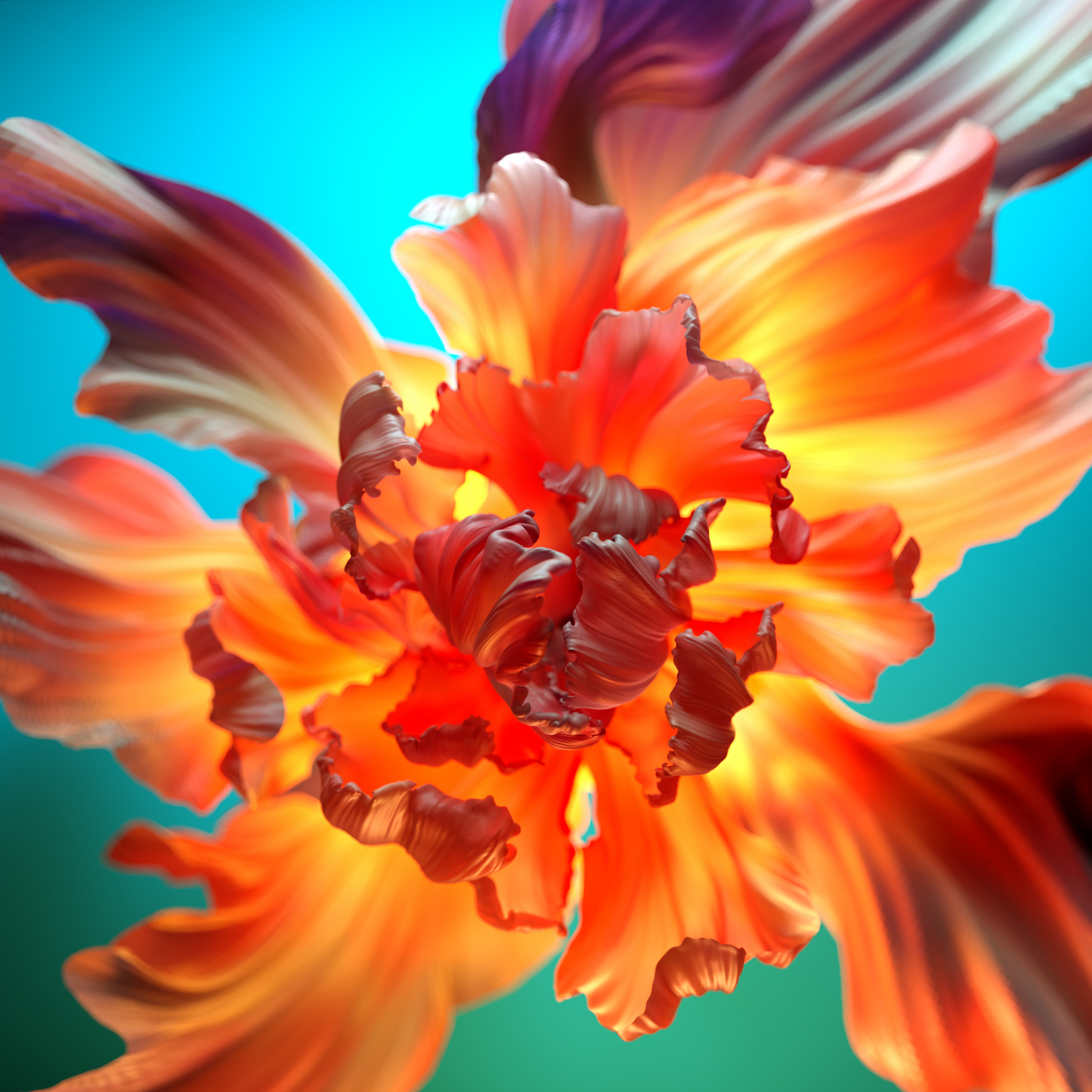 Orange Blume, Blumenhintergrund, Bunt, 3D-Hintergrund, Digitale Kunst