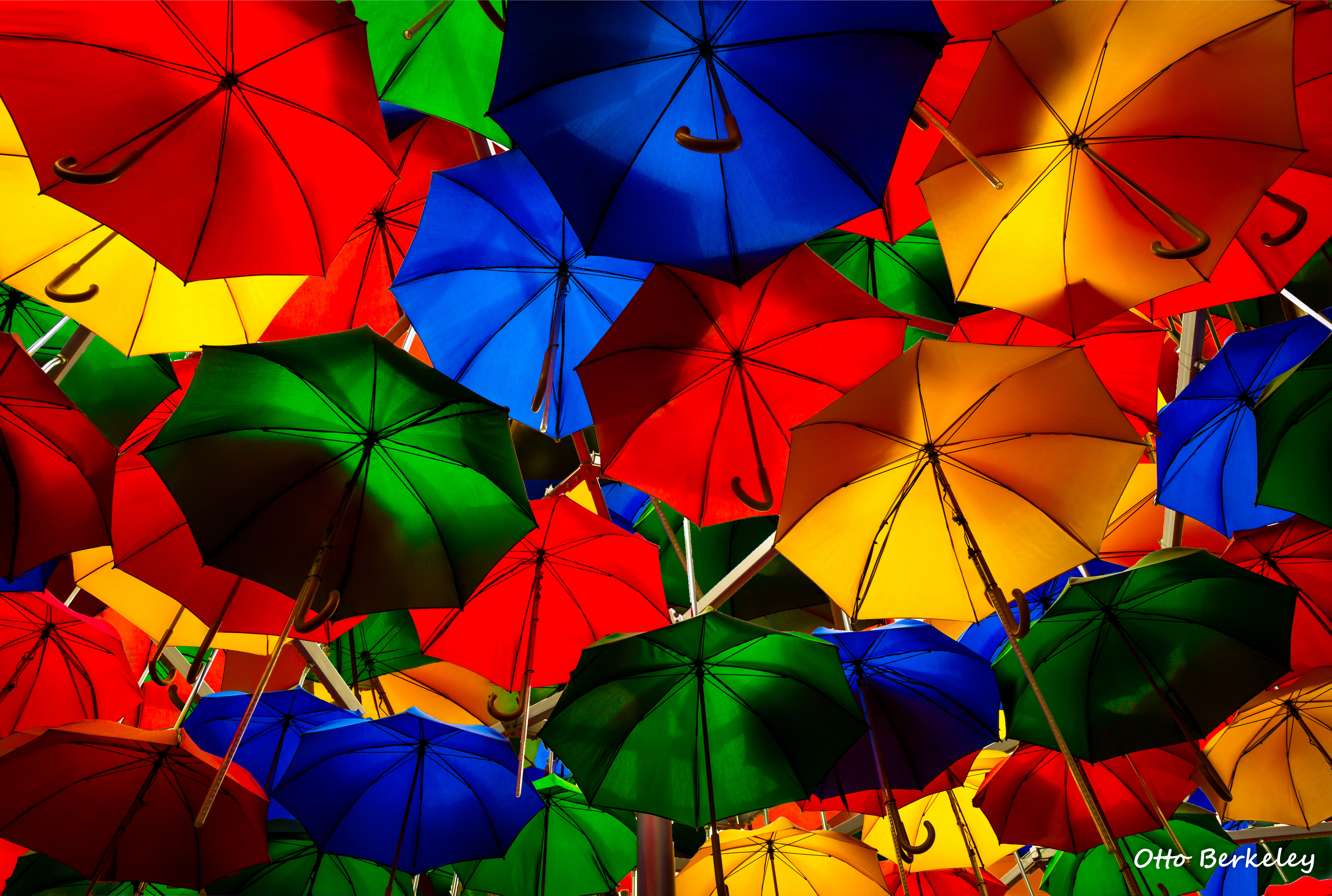 Regenschirme, Farbenfroh, Mehrfarbig, Künstlerisch, Von oben, Muster, Lebendig, 5K, 8K