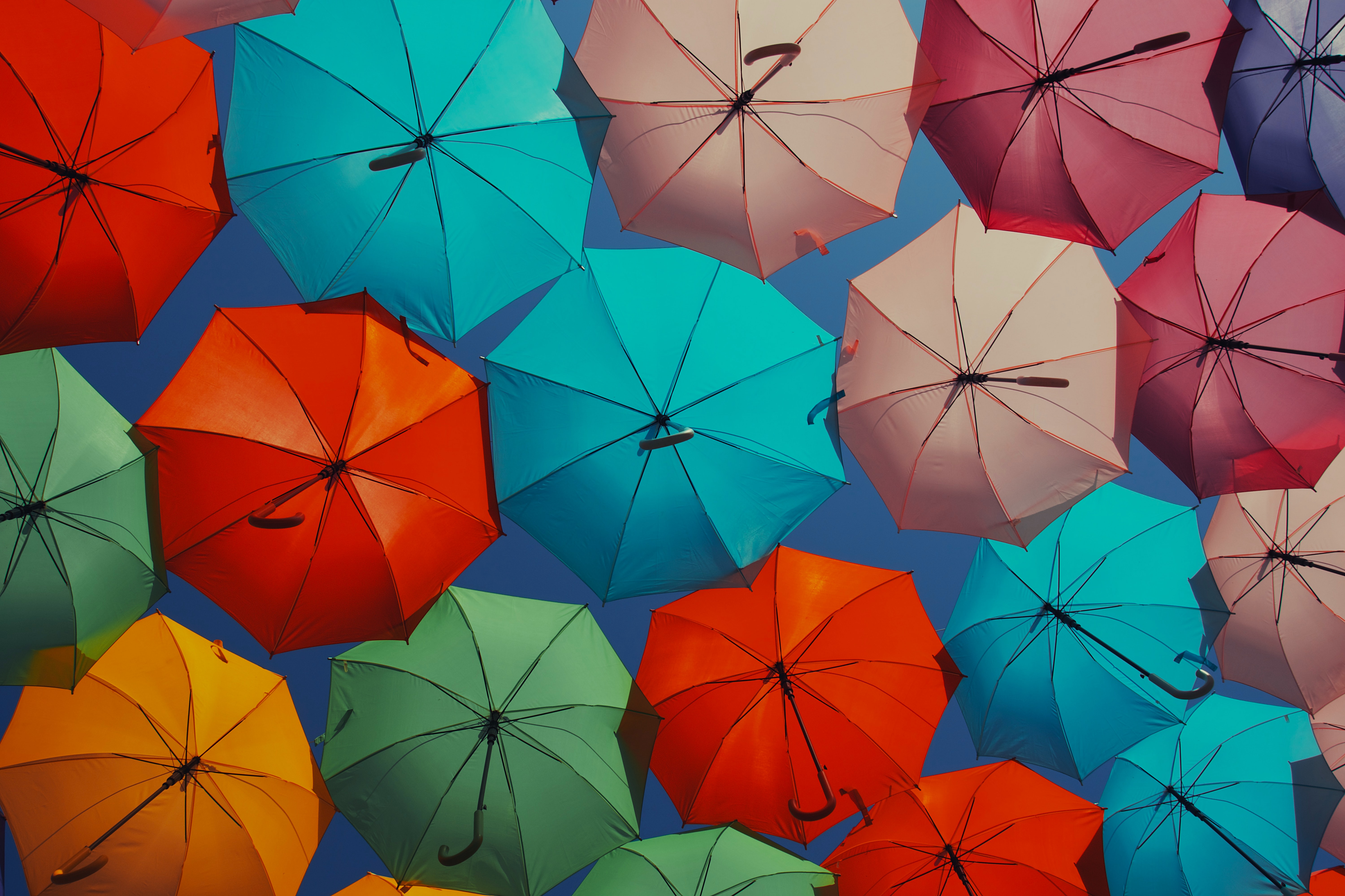 Regenschirme, Mehrfarbig, Farbenfroh, Lebendig, Himmelsblick, Ästhetisch, 5K