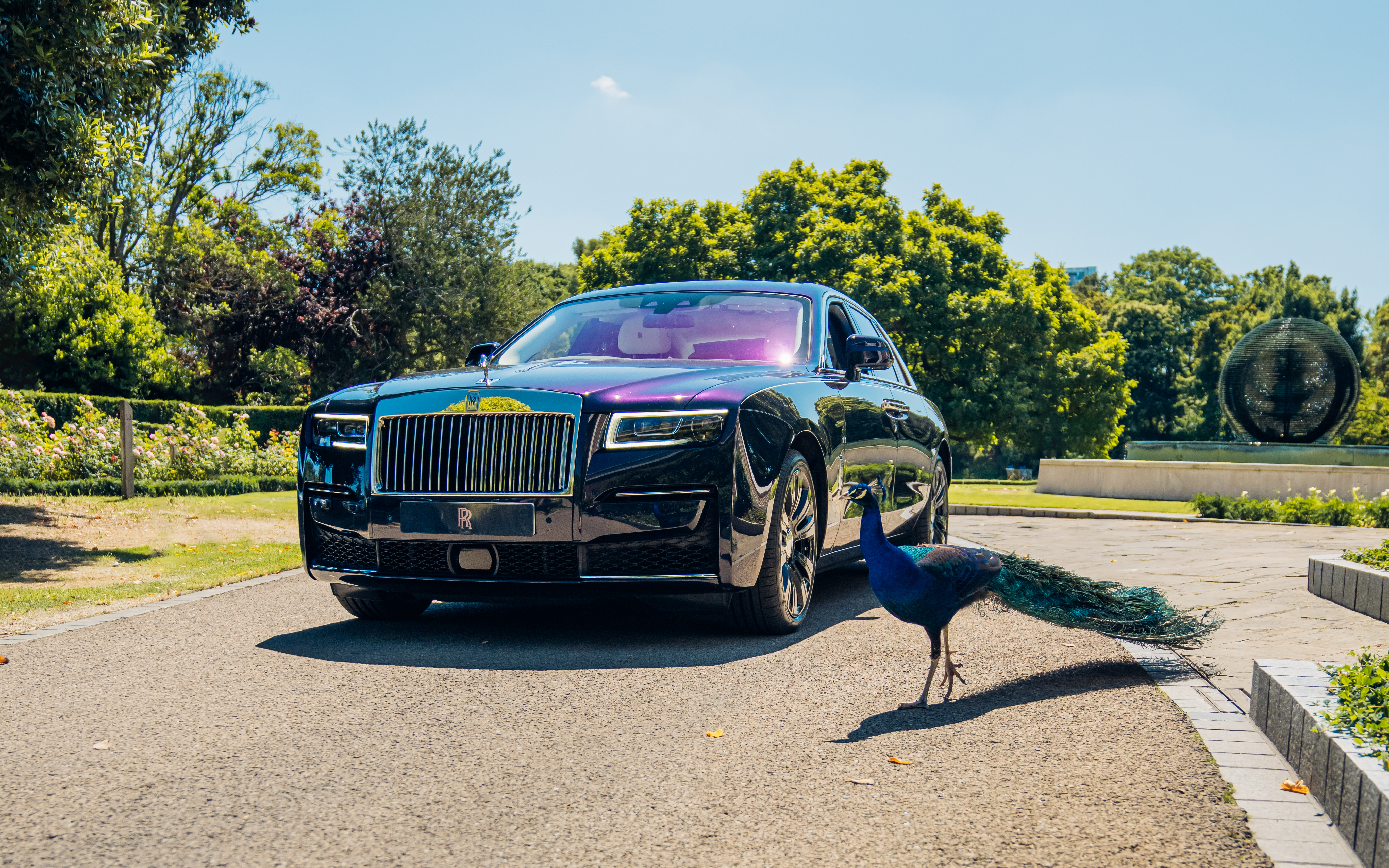 Rolls-Royce Ghost, Pfau, 2022, 5K