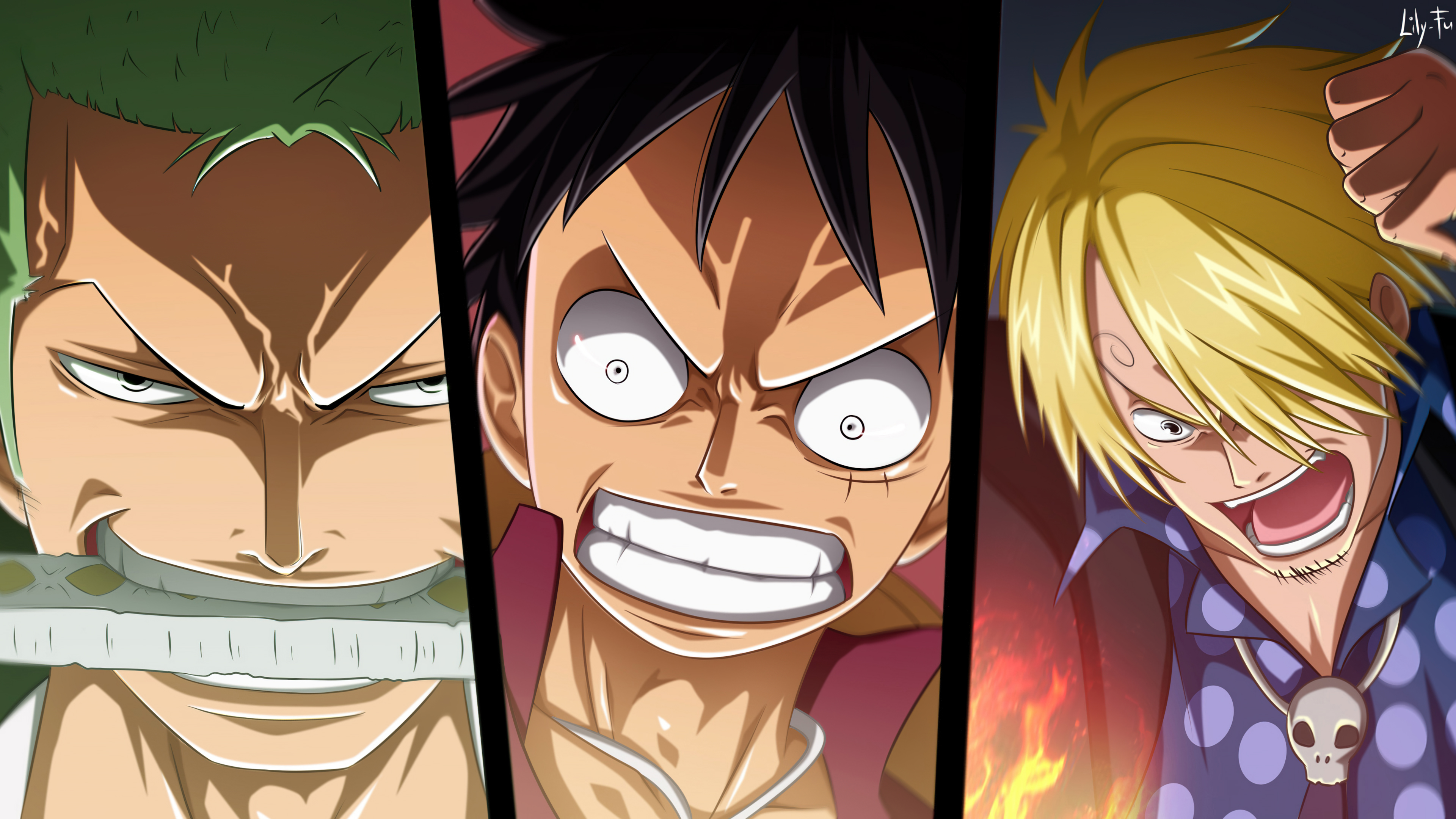 Roronoa Zoro, Monkey D. Luffy, Sanji, One Piece