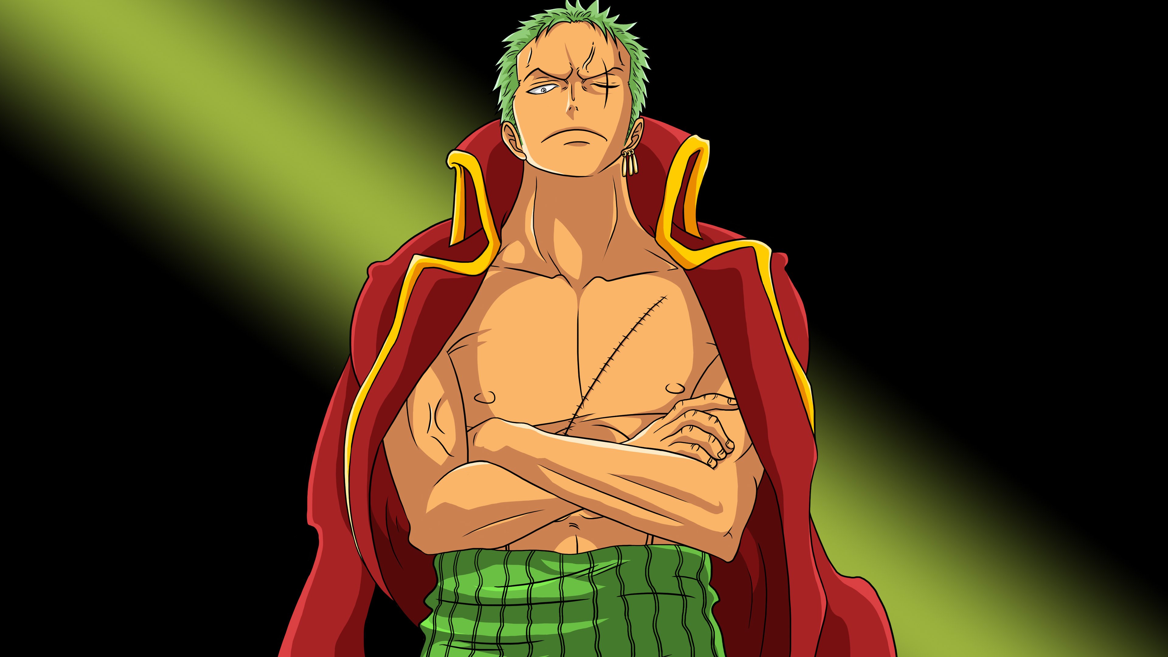 Roronoa Zoro, Pirate Hunter, One Piece