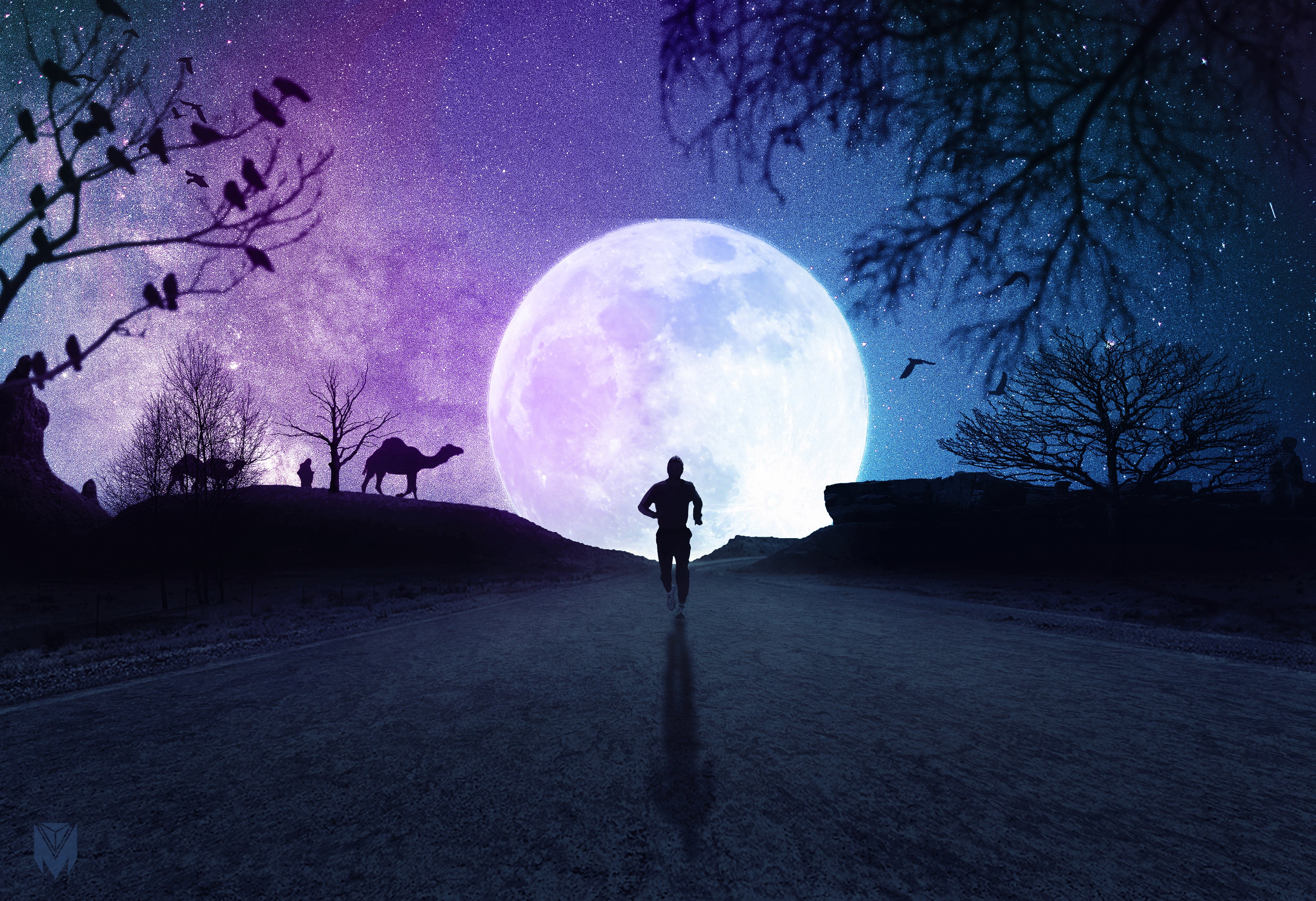 Vollmond, Neon, Ästhetik, Silhouette, Laufen, Sternenhimmel, Nacht, Straße