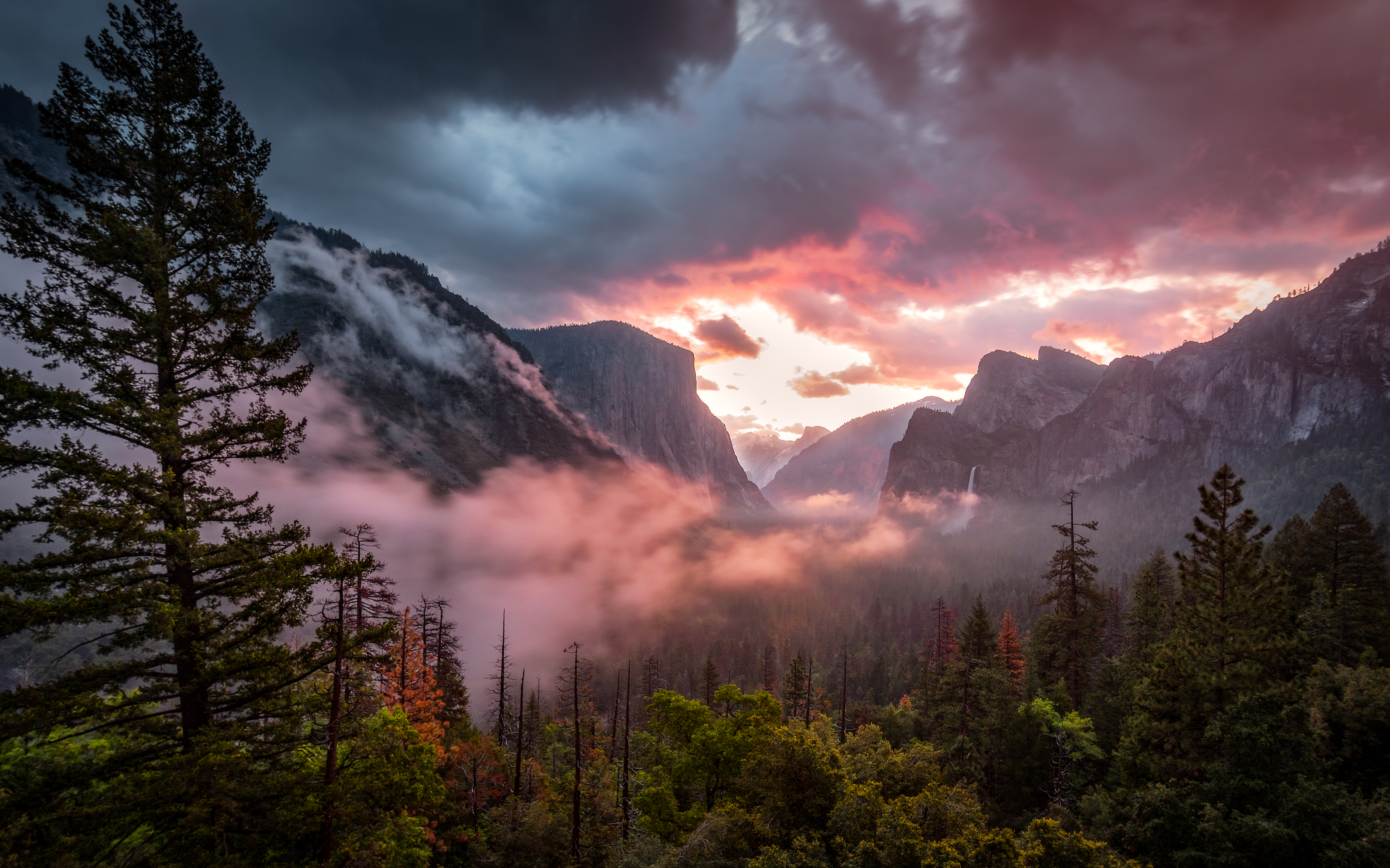 Yosemite-Nationalpark, Yosemite Valley, Neblig, Morgen, 5K