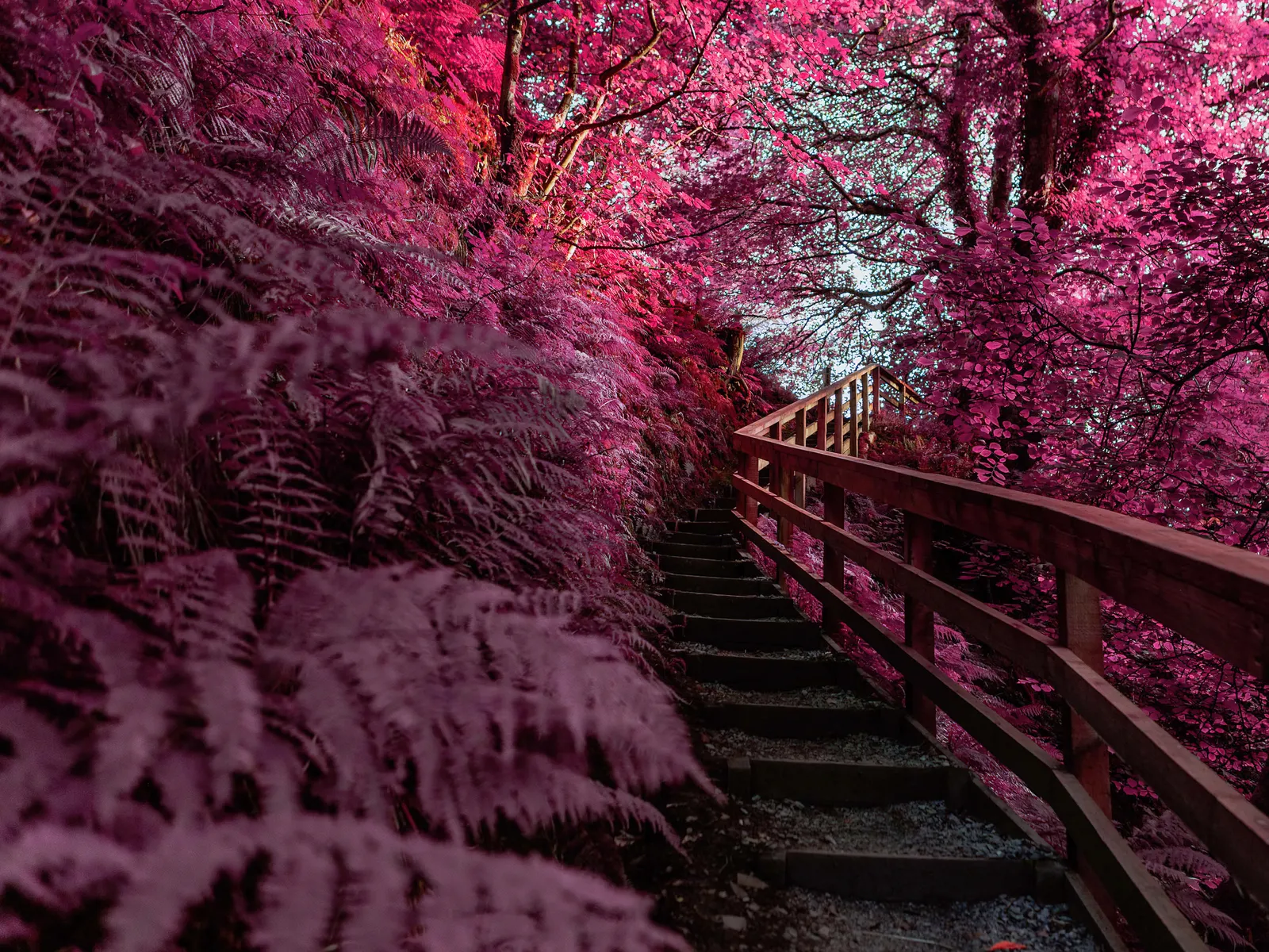 Treppen