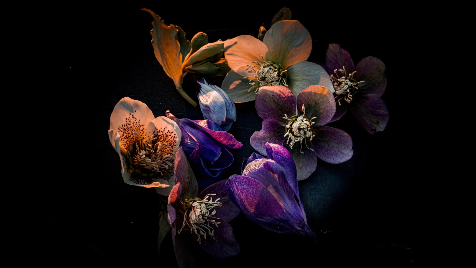 Bunte Blumen
